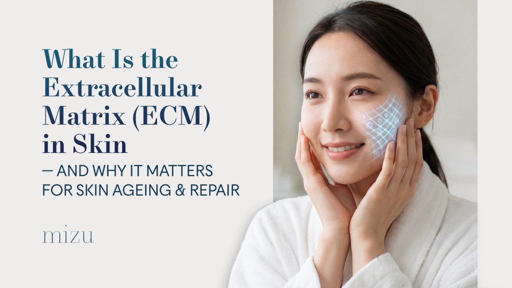 What Is the Extracellular Matrix (ECM) in Skin — and Why It Matters for Skin Ageing & Repair | MIZU